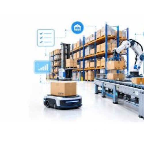 7 Questions to Ask Before You Automate Your Warehouse